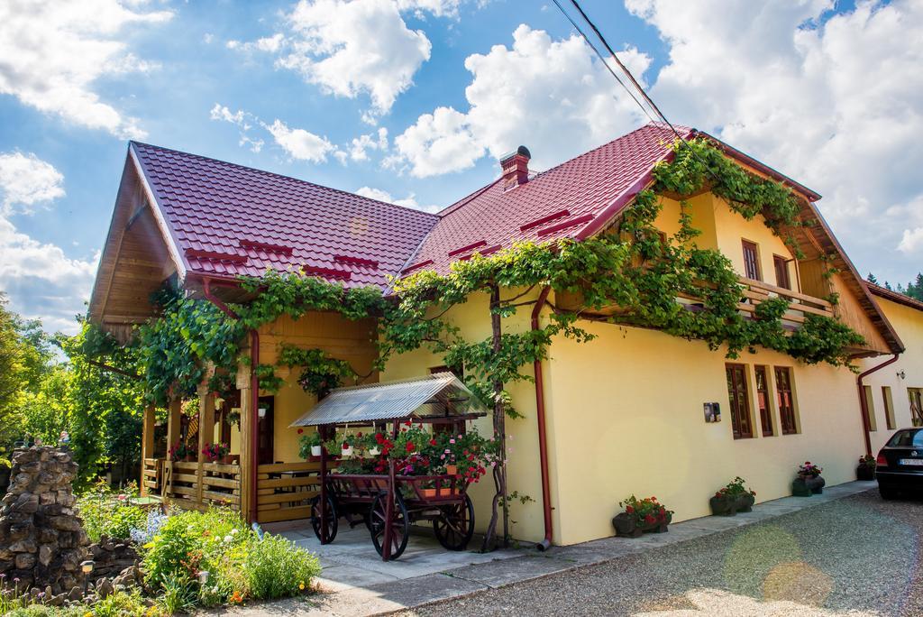 Hotel Casa Andreea Sucevita Esterno foto